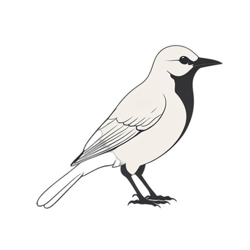 Line Art อีกา