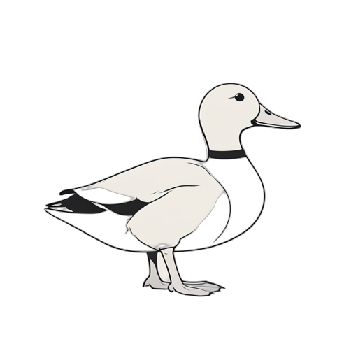 Line Art ห่าน