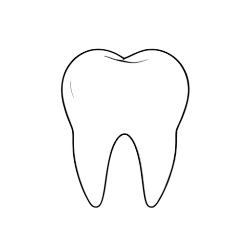 Line Art Azı dişleri