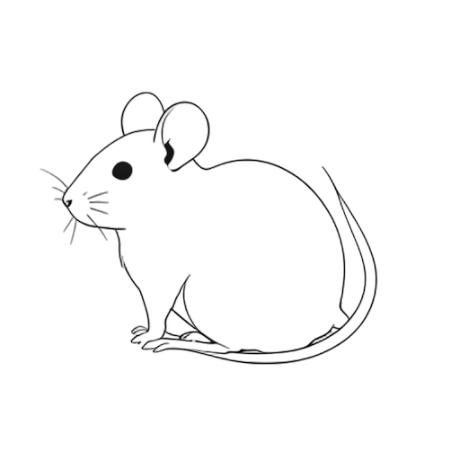 Line Art Mouse