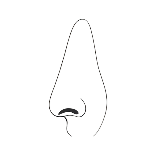 Line Art 鼻子