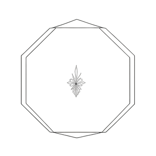 Line Art Octagon