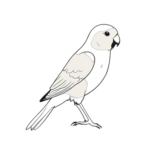 Line Art นกแก้ว