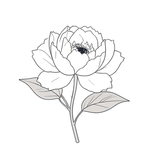 Line Art Peonia