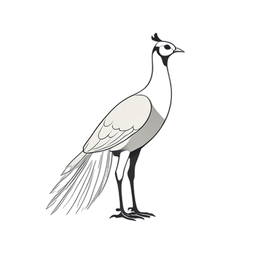 Line Art Pheasant