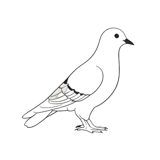 Line Art นกพิราบ
