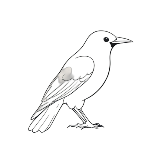 Line Art Raven