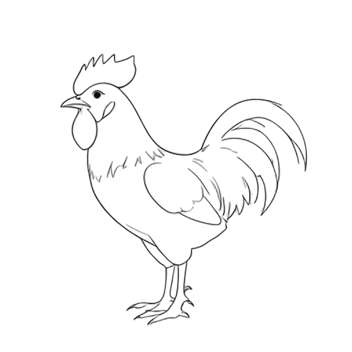 Line Art ไก่ตัวผู้