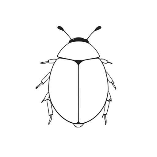 Line Art خنفساء