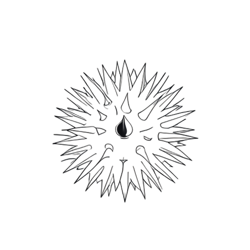 Line Art Sea Urchin
