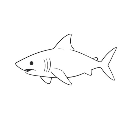 Line Art Shark