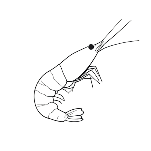Line Art Shrimp