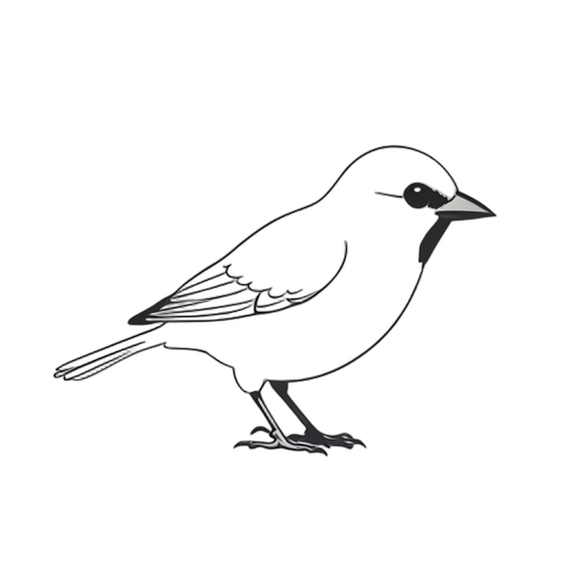 Line Art Sparrow