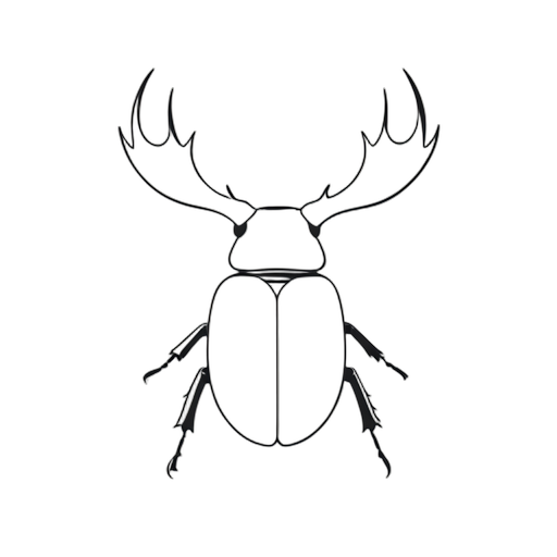 Line Art Stag Beetle