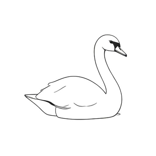 Line Art Cisne