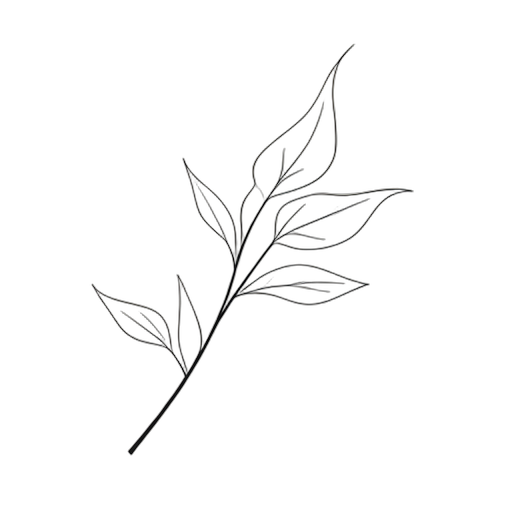 Line Art Vento