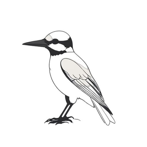 Line Art kıvılcım