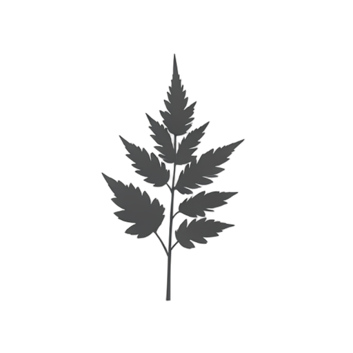 Logo Mark Fern