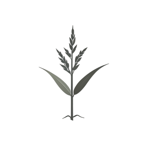 Logo Mark Рисовое растение