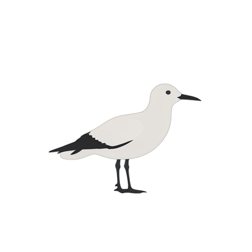 Logo Mark Seagull