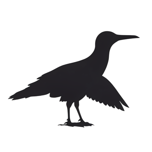 Silhouette อัลบาทรอส