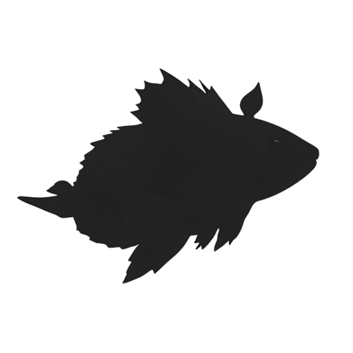 Silhouette 아갈라조틀