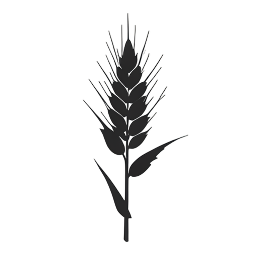 Silhouette Orzo