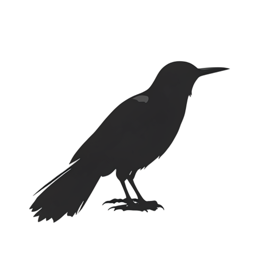 Silhouette Bird