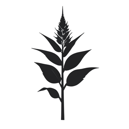 Silhouette Corn Stalk