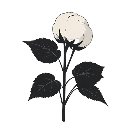 Silhouette Roślina bawełniana