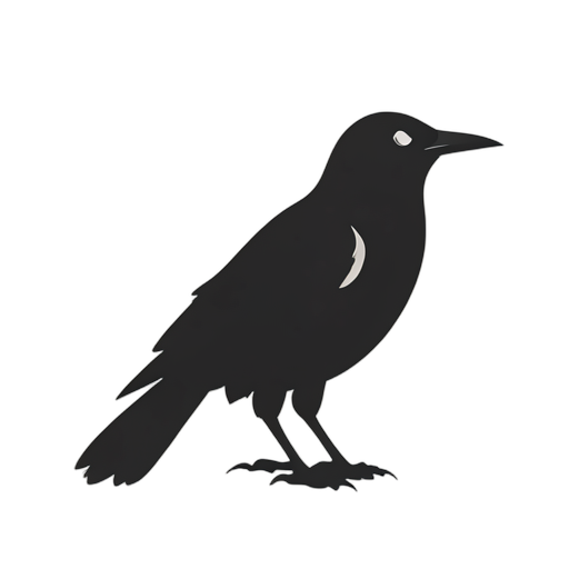 Silhouette crow