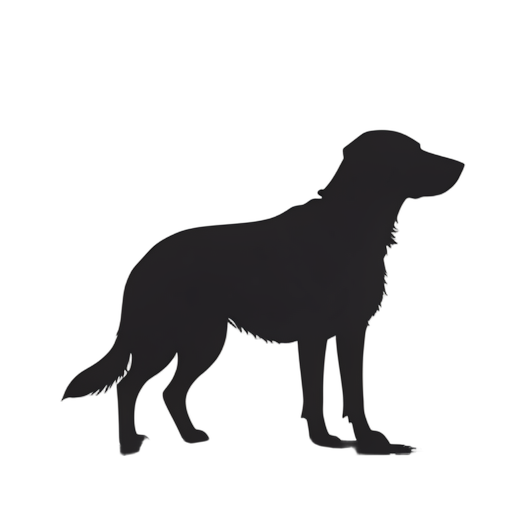 Silhouette Dog