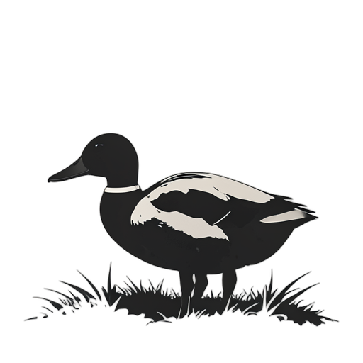 Silhouette Pato de granja
