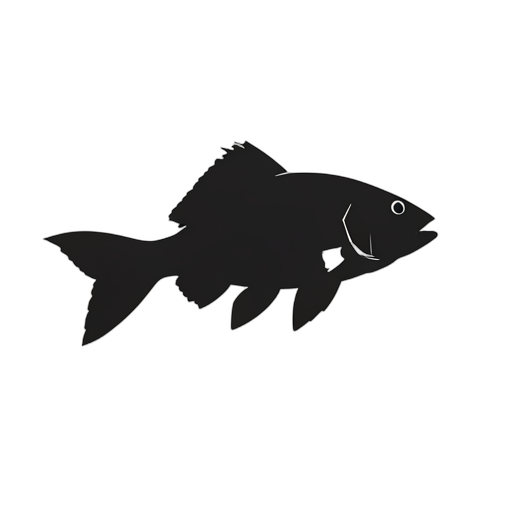 Silhouette Fish