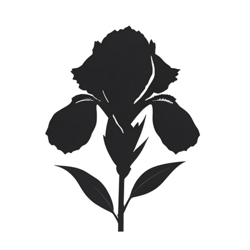 Silhouette Iris