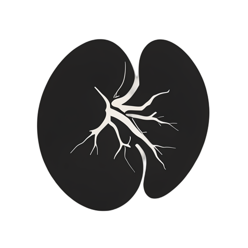 Silhouette Thận