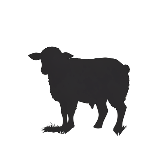 Silhouette Agnello