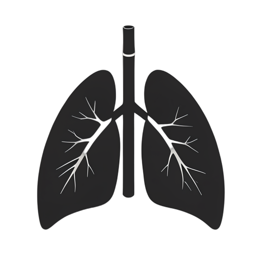 Silhouette İç akciğerler