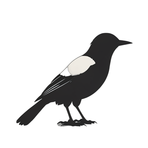 Silhouette Magpie