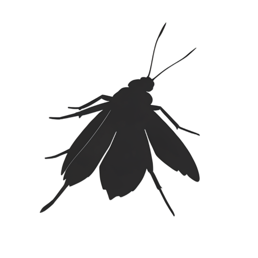Silhouette nyamuk