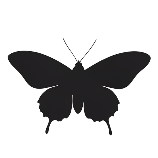 Silhouette 나방