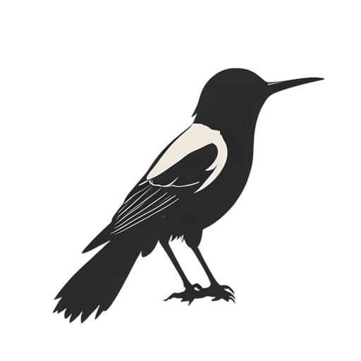 Silhouette 황조롱이