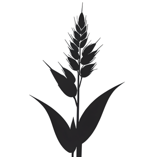 Silhouette Jęczmień