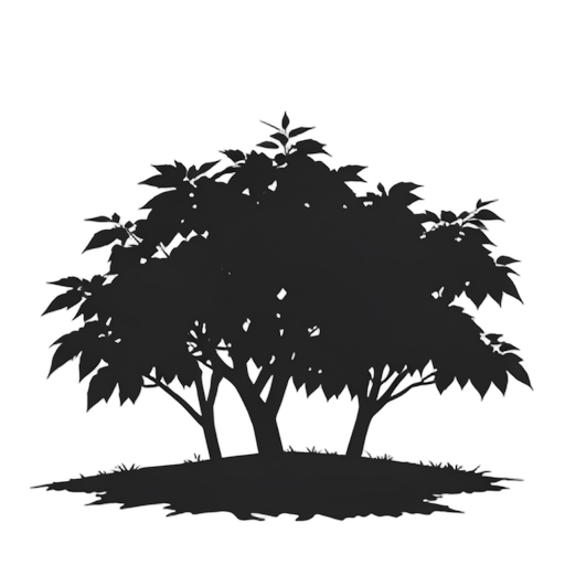 Silhouette 과수원