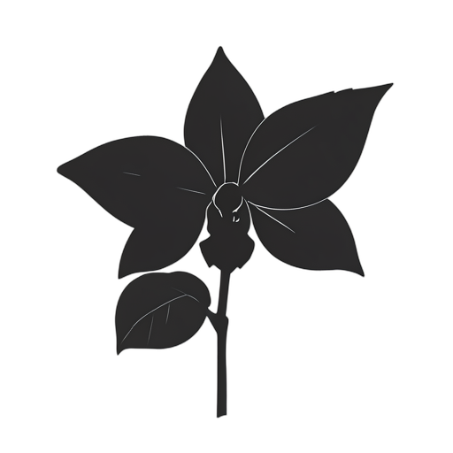 Silhouette Orchid