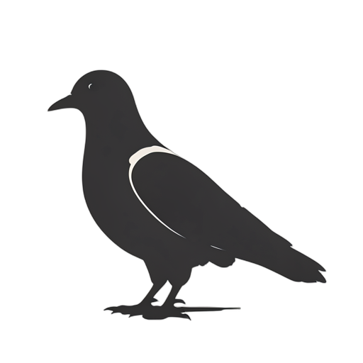 Silhouette 비둘기