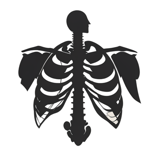 Silhouette 갈비뼈