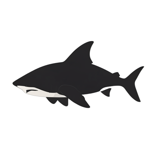 Silhouette cá mập