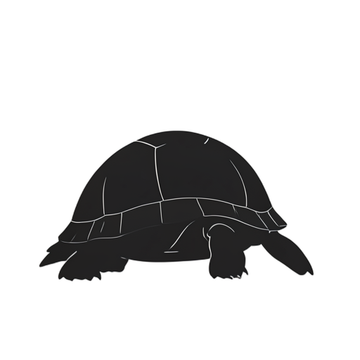 Silhouette 乌龟