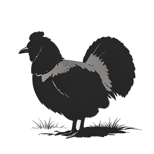 Silhouette Pollo da fattoria